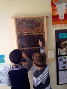 Observing the Bees
