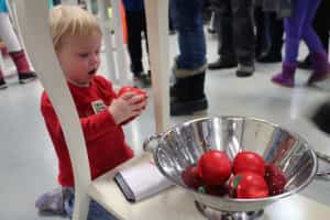apple baby