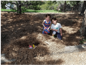 compost