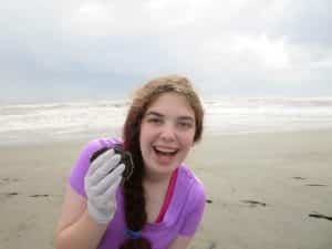 turtle-1