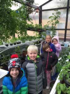 Kinder News photo 7