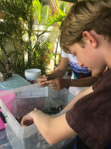 student working with water testing equipment