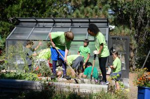 students working in schoolyard habitat garden