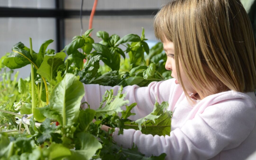 Mackintosh Receives Colorado Garden Foundation Grant